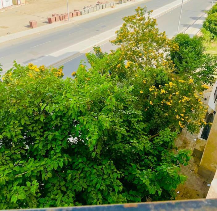 Comfortable Sunny 16 Mins From Airport Cairo