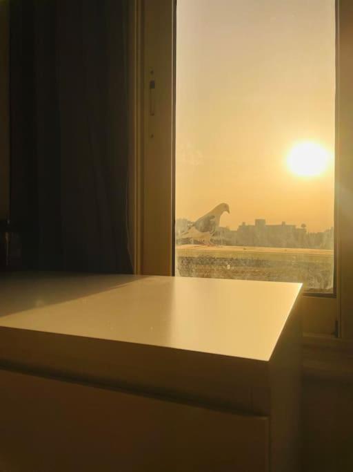 Apartment Comfortable Sunny 16 Mins From Airport Cairo